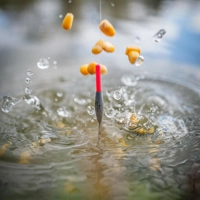 Matrix Carbon Margin Pole Floats